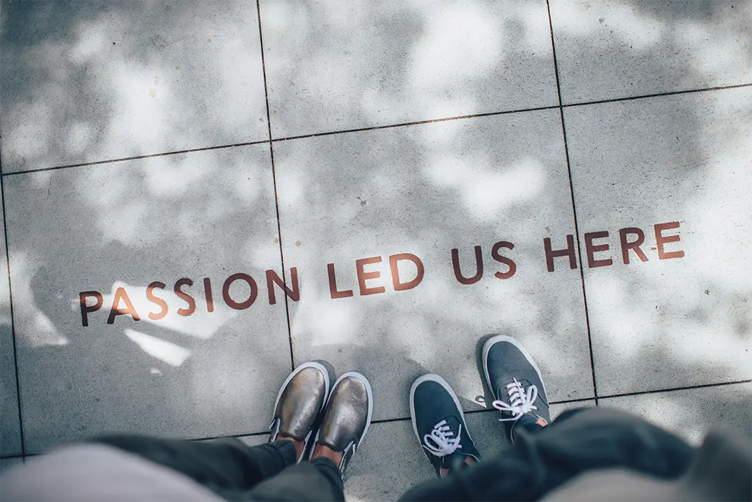 image passion led us here